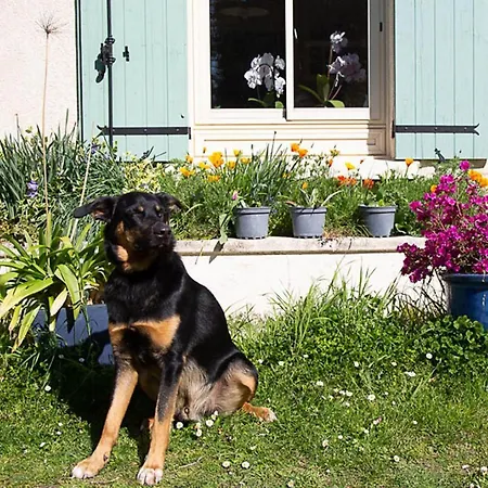 La Dorepontaise D'hotes Homestay