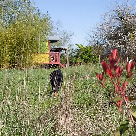 Homestay La Dorepontaise D'hotes Pondaurat