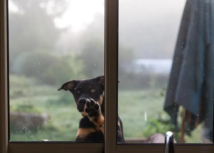 홈스테이 La Dorepontaise D'hotes *