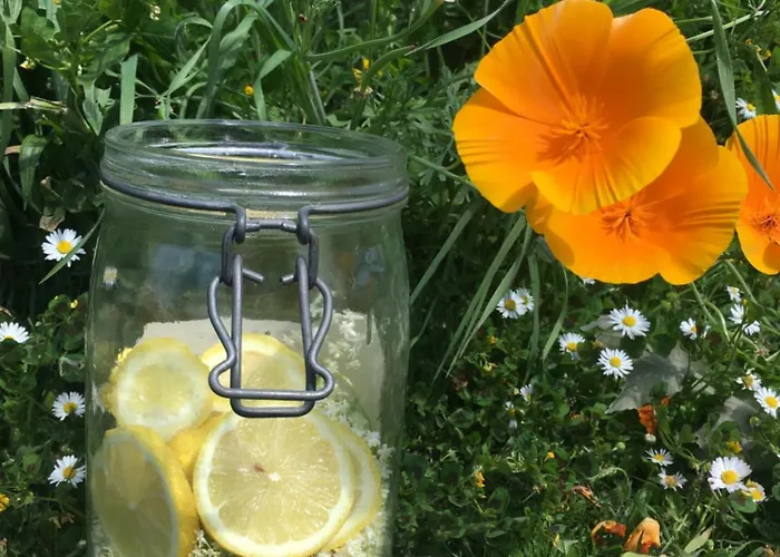 La Dorepontaise D'hotes Homestay szállás