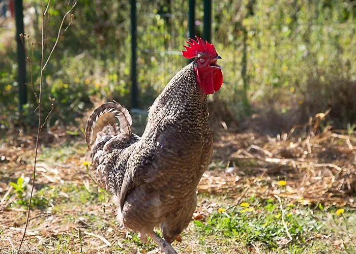 La Dorepontaise D'hotes *