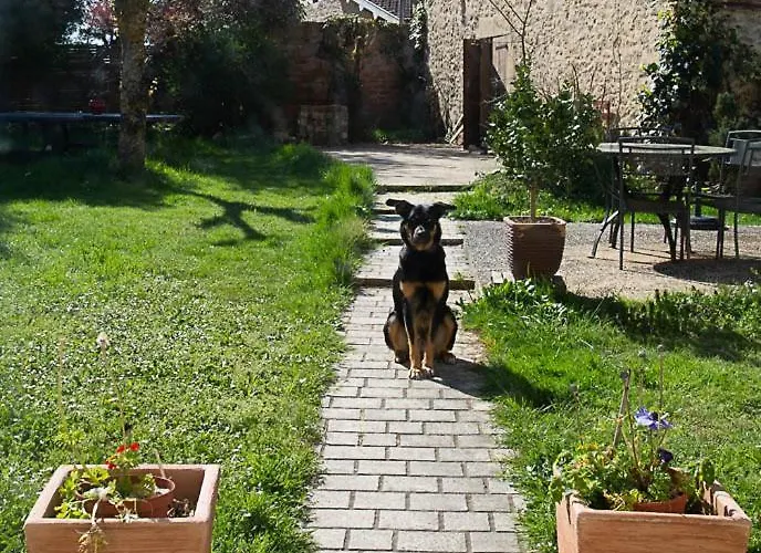 Homestay szállás La Dorepontaise D'hotes